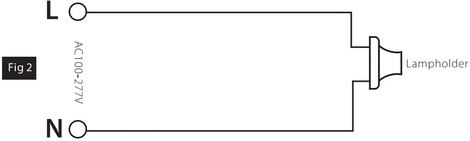 RAB Lighting HIDFA XXS EX39 8CCT BYP 5SP RAB LED Corn Cob - fig 2