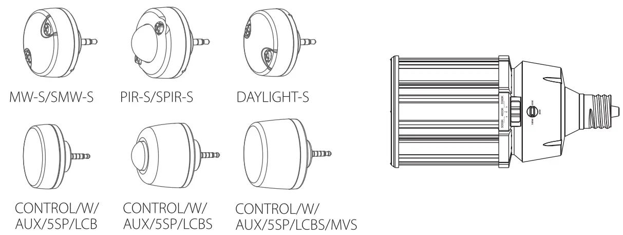 RAB Lighting HIDFA XXS EX39 8CCT BYP 5SP RAB LED Corn Cob
