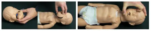 Simulaids-100-2976-Kevin-Infant-CPR-Manikin-fig-2