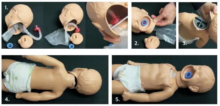 Simulaids-100-2976-Kevin-Infant-CPR-Manikin-fig-5