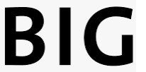 big logo