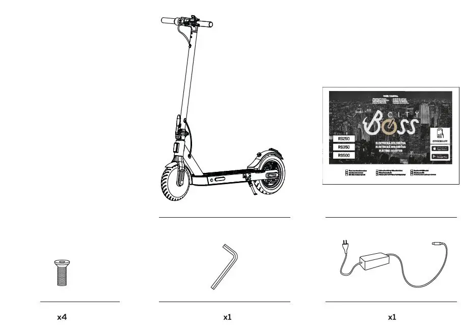 CITY-BOSS-RS250-Electric-Scooter-fig-1