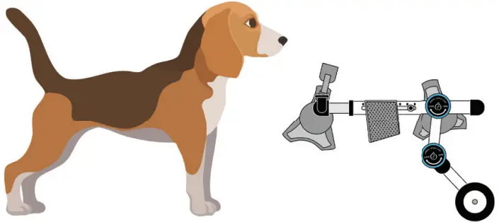 Animal Ortho Care Haute Wheels Dog Wheelchair - Animal Ortho