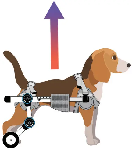 Animal Ortho Care Haute Wheels Dog Wheelchair - both sides of the frame