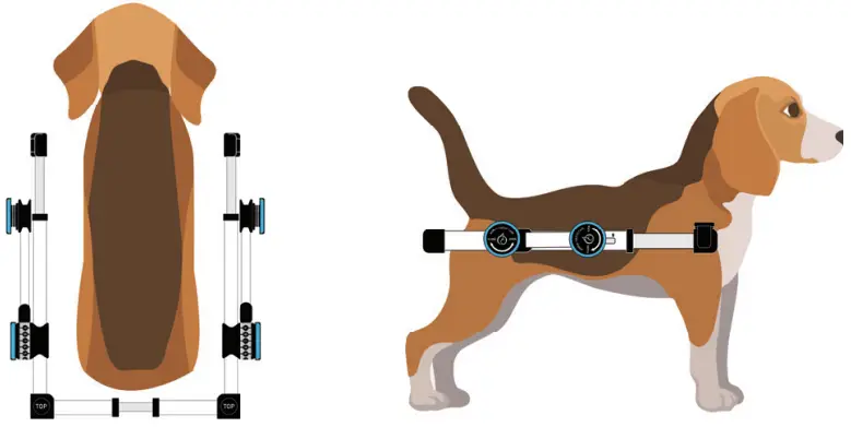 Animal Ortho Care Haute Wheels Dog Wheelchair - fitting the harnesses