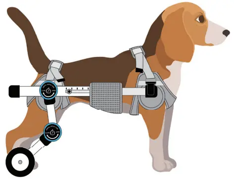Animal Ortho Care Haute Wheels Dog Wheelchair - harnesses and frame