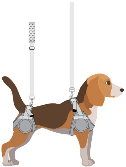 Animal Ortho Care Haute Wheels Dog Wheelchair - pet snugly