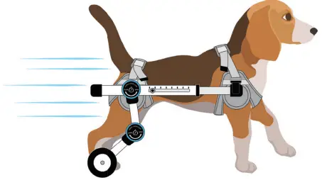 Animal Ortho Care Haute Wheels Dog Wheelchair - rest period