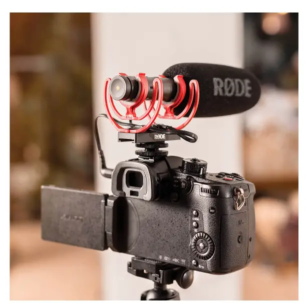 RODE VideoMic NTG Analog-USB Camera-Mount Shotgun Microphone - Auto-sensing Feature