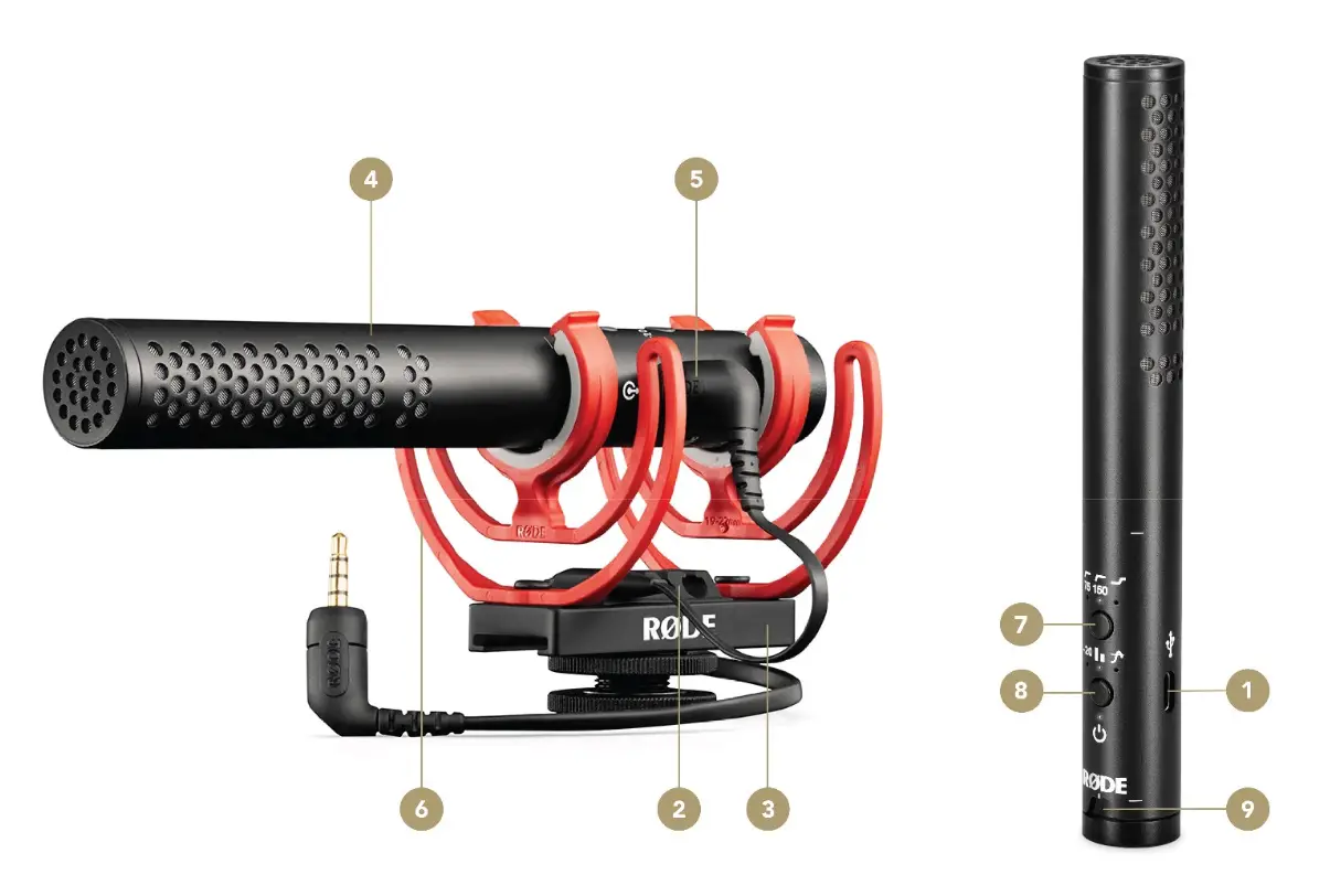 RODE VideoMic NTG Analog-USB Camera-Mount Shotgun Microphone - Features