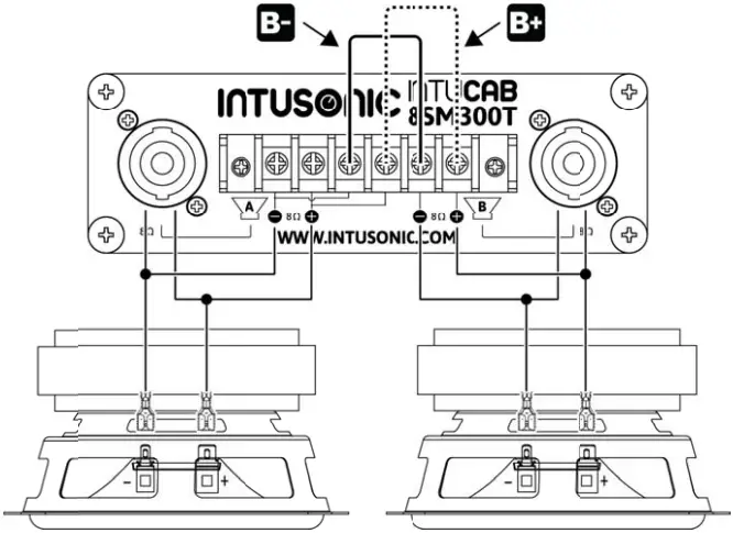 INTUSONIC 8SM300T Dual 8 Inch Passive Subwoofer A3