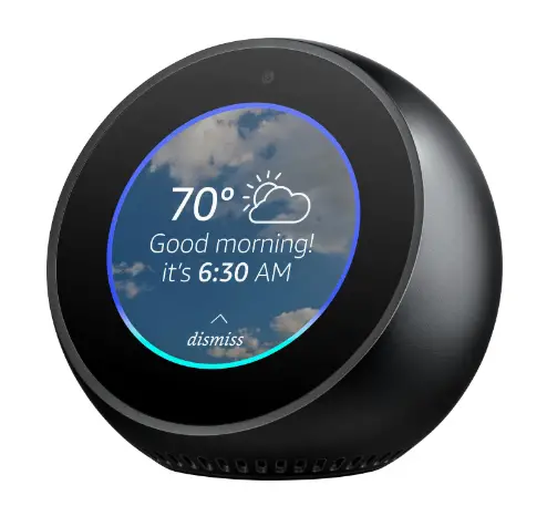 Amazon Echo Spot