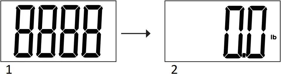 HealthWise Veridian Healthcare - BATTERY INSTALLATION 2