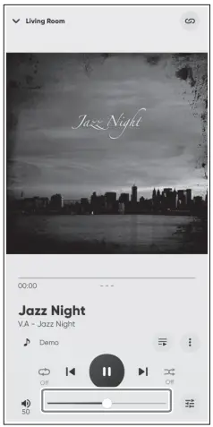 YAMAHA-R-N1000A-Receiver-HiFi-Receiver-fig-32