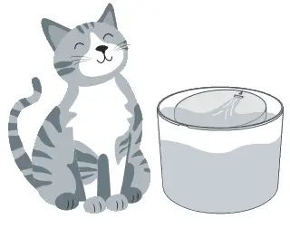 Meowant MW WF02 Pet Water Fountain - cat