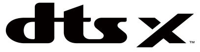 dtsx logo