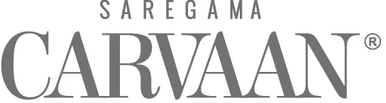 Carvaan Portable Digital Music Player logo