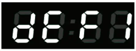 Weight Defrost Function