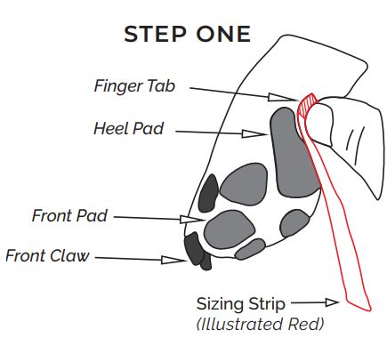 dog-Sap-CLAWGS-Sizing-Guides-and-Demonstration-Videos-FIG-1