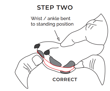 dog-Sap-CLAWGS-Sizing-Guides-and-Demonstration-Videos-FIG-2