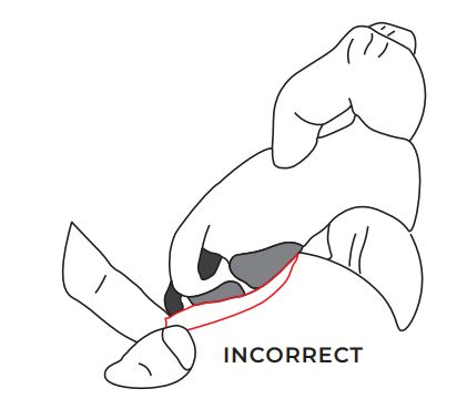 dog-Sap-CLAWGS-Sizing-Guides-and-Demonstration-Videos-FIG-3