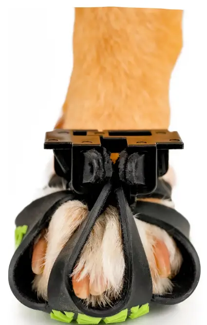 dog-Sap-CLAWGS-Sizing-Guides-and-Demonstration-Videos-PRODUCT