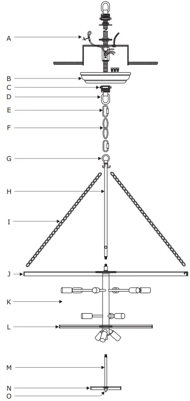 CRYSTORAMA 612-FB Rylee 12 Light Chandelier A2