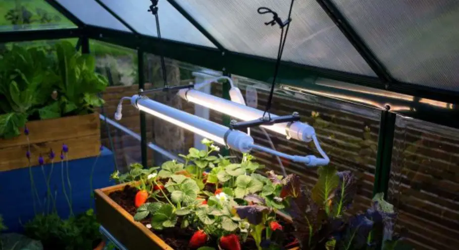 Palram Brighton Led Grow Light Full Spectrum User Manual Palram Brighton Led Grow Light Full Spectrum User Manual