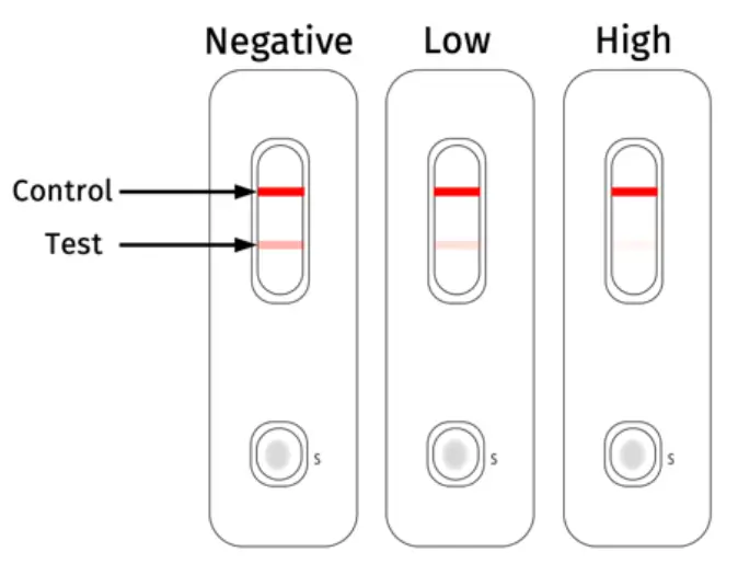Attogene-AU2030-Cadmium-Lateral-Flow-01
