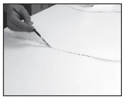 A Guide To Vein Styles