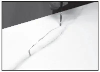 A Guide To Vein Styles