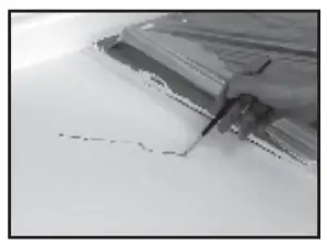 Accent Veins & Highlights