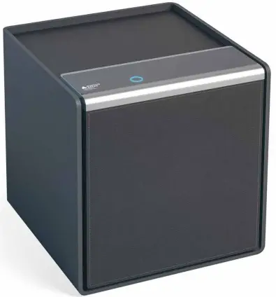 BURTON-SAFE-Companion-Fingerprint-Safe-PRODUCT