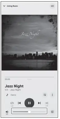 YAMAHA R-N1000A Receiver Ampli-Tuner HiFi-fig25