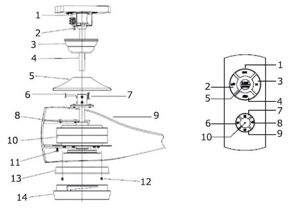 LIFE-516980073-Godiva-Ceiling-Fan-FIG-1