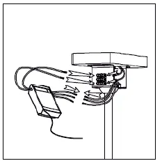 LIFE-516980073-Godiva-Ceiling-Fan-FIG-11