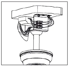 LIFE-516980073-Godiva-Ceiling-Fan-FIG-12