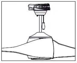 LIFE-516980073-Godiva-Ceiling-Fan-FIG-13