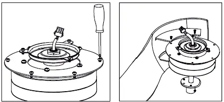 LIFE-516980073-Godiva-Ceiling-Fan-FIG-5