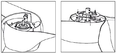 LIFE-516980073-Godiva-Ceiling-Fan-FIG-5