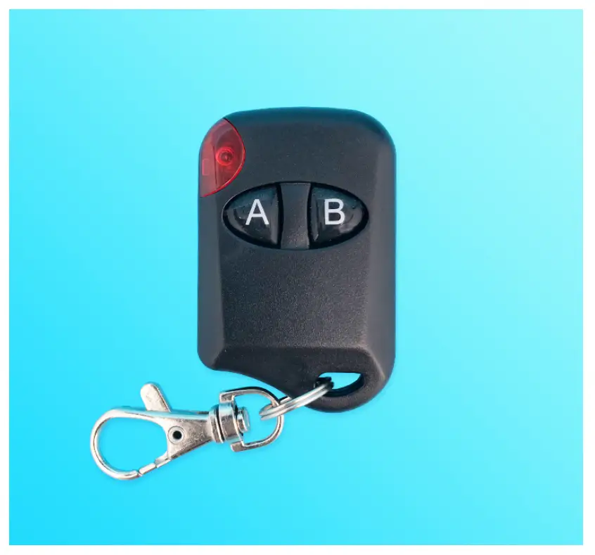 AP201-F 2 Keys Remote Control