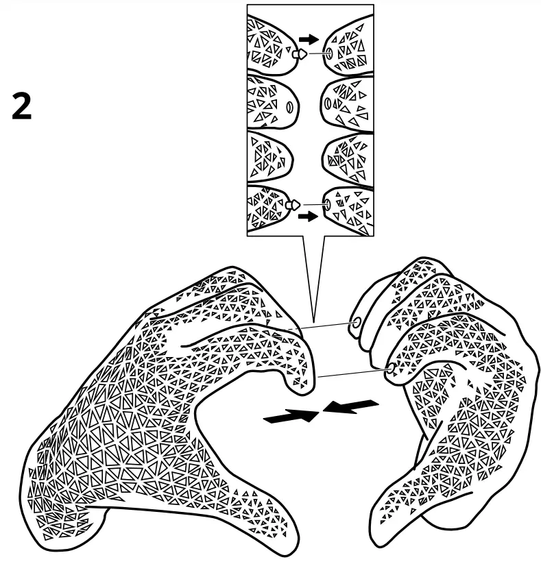 IKEA-FLAMTRAD-Decoration-Hand-3