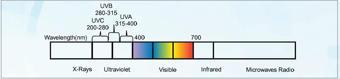 KENT Prime Star-B RO Water Purifiers 16