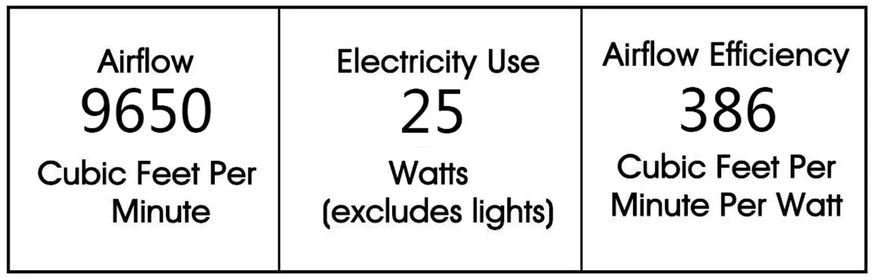 WAREHOUSE OF TIFFANY DL01P03MB 6-Light Indoor Matte Black Finish Ceiling Fan with Light Kit