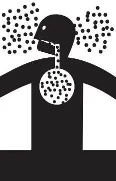 NTI TRX150 High Efficiency Gas-Fired Condensing Boiler - icon 1