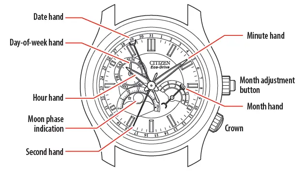 CITIZEN-8651-Abbreviated-Watch-fig-1