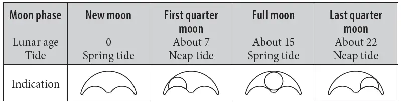 CITIZEN-8651-Abbreviated-Watch-fig-3