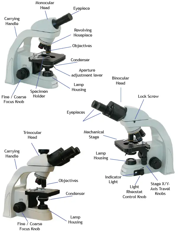 HS-3M Student Compound Microscope 1