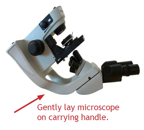 HS-3M Student Compound Microscope 5