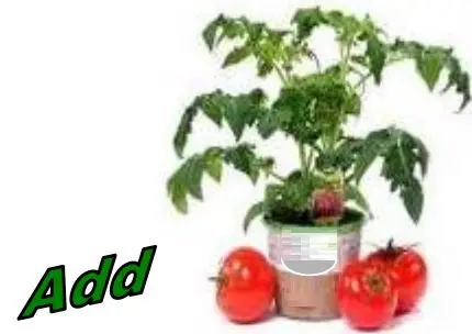 City Pickers Instructions Home Depot Patio Raised Garden Bed Grow-FIG4